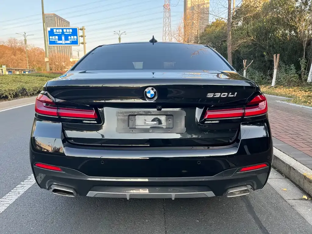 BMW 5 Series 2023 из CN, фото 6