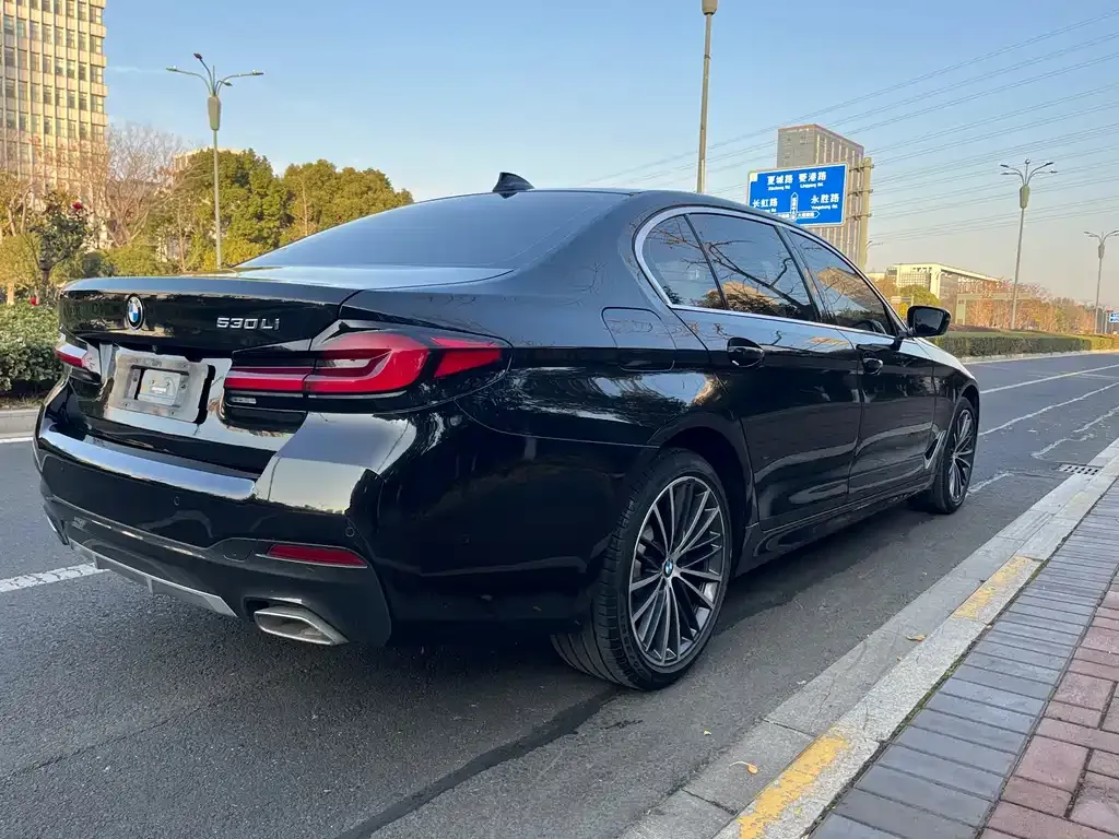 BMW 5 Series 2023 из CN, фото 5