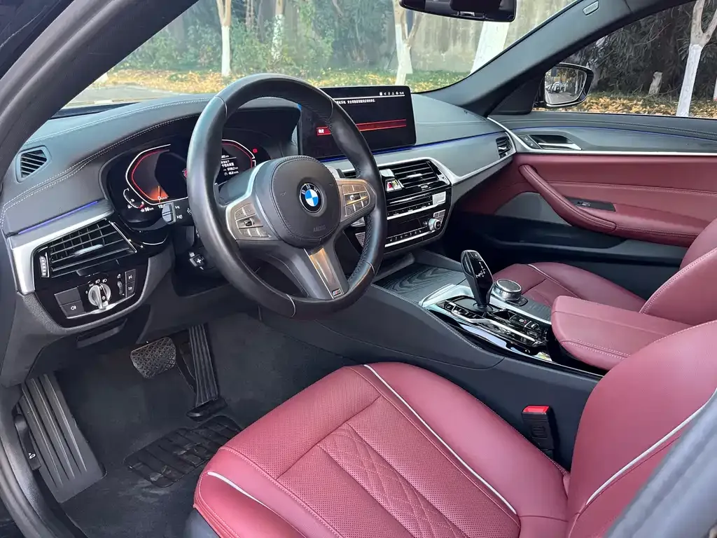 BMW 5 Series 2023 из CN, фото 7