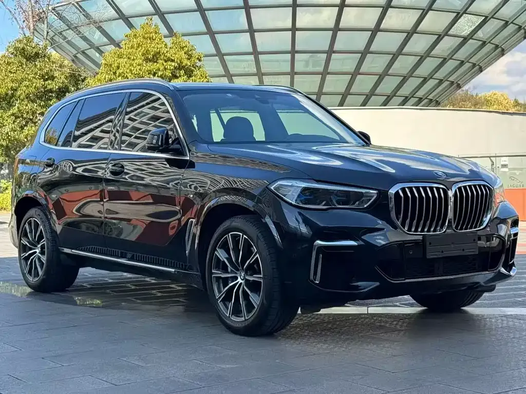 BMW X5 2022 из CN, фото 6
