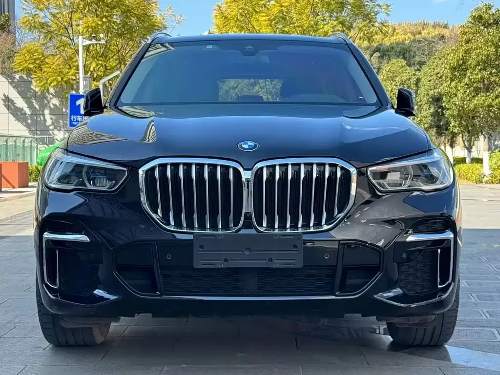 BMW X5 2022 из CN, фото 5