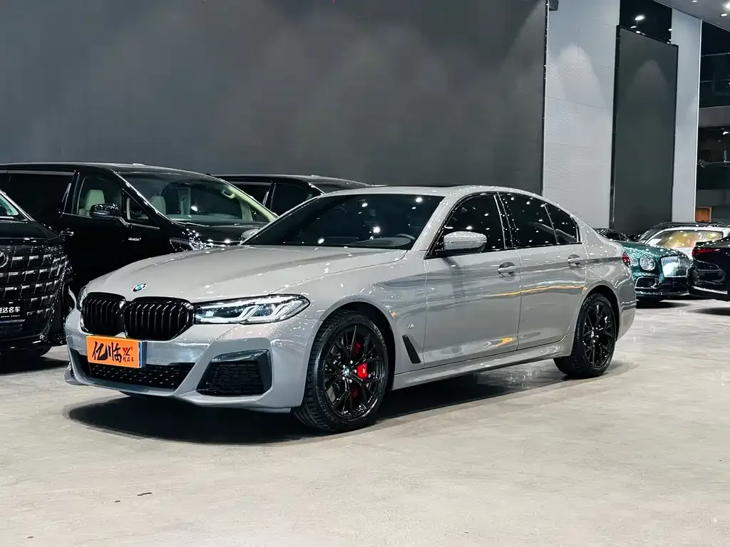 BMW 5 Series (Import) 2021 из CN, фото 1