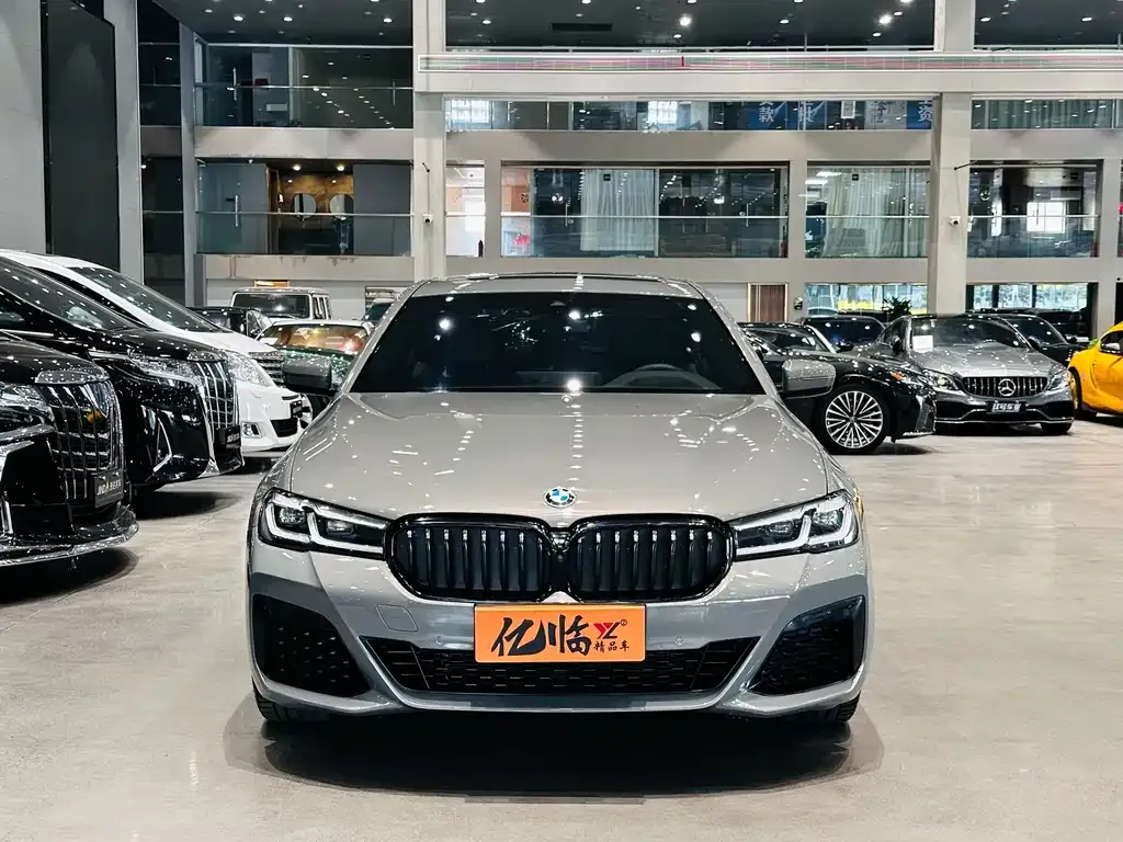 BMW 5 Series (Import) 2021 из CN, фото 2