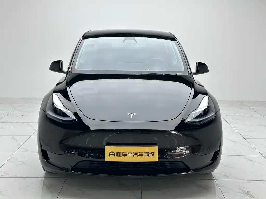 Tesla Model Y 2022 из CN, фото 7