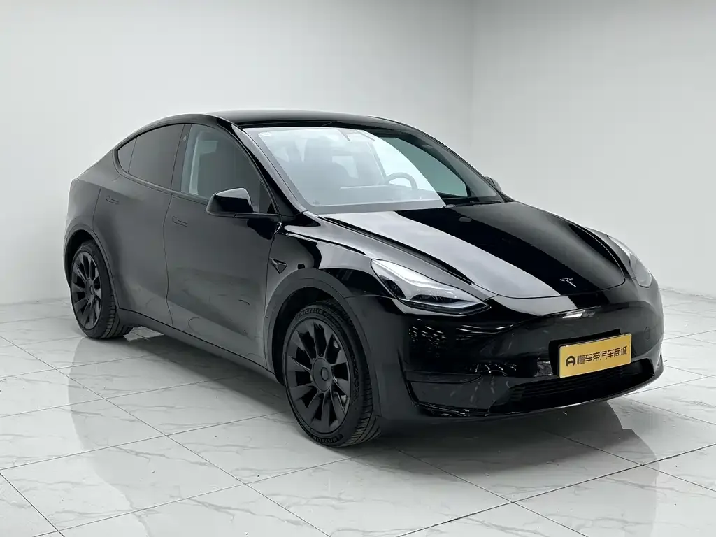 Tesla Model Y 2022 из CN, фото 2