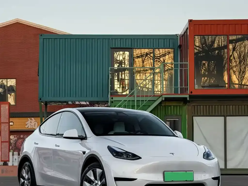 Tesla Model Y 2022 из CN, фото 1