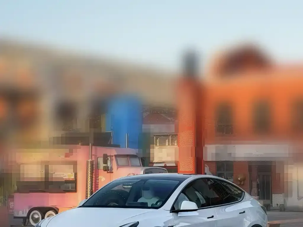 Tesla Model Y 2022 из CN, фото 7
