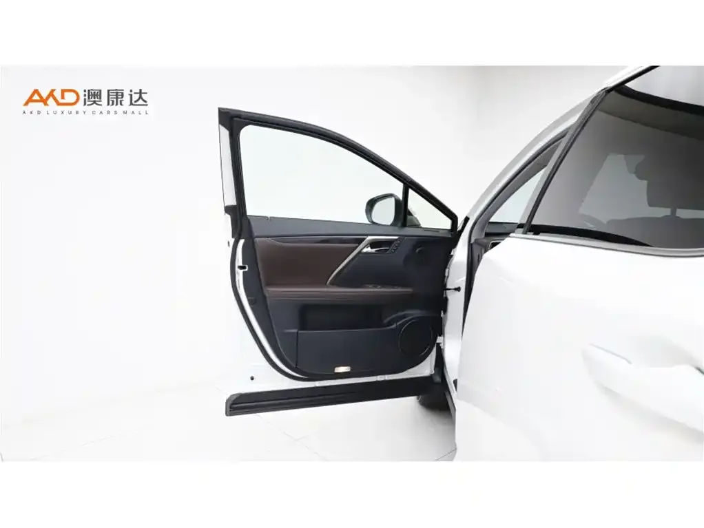 Lexus RX 2021 из CN, фото 10