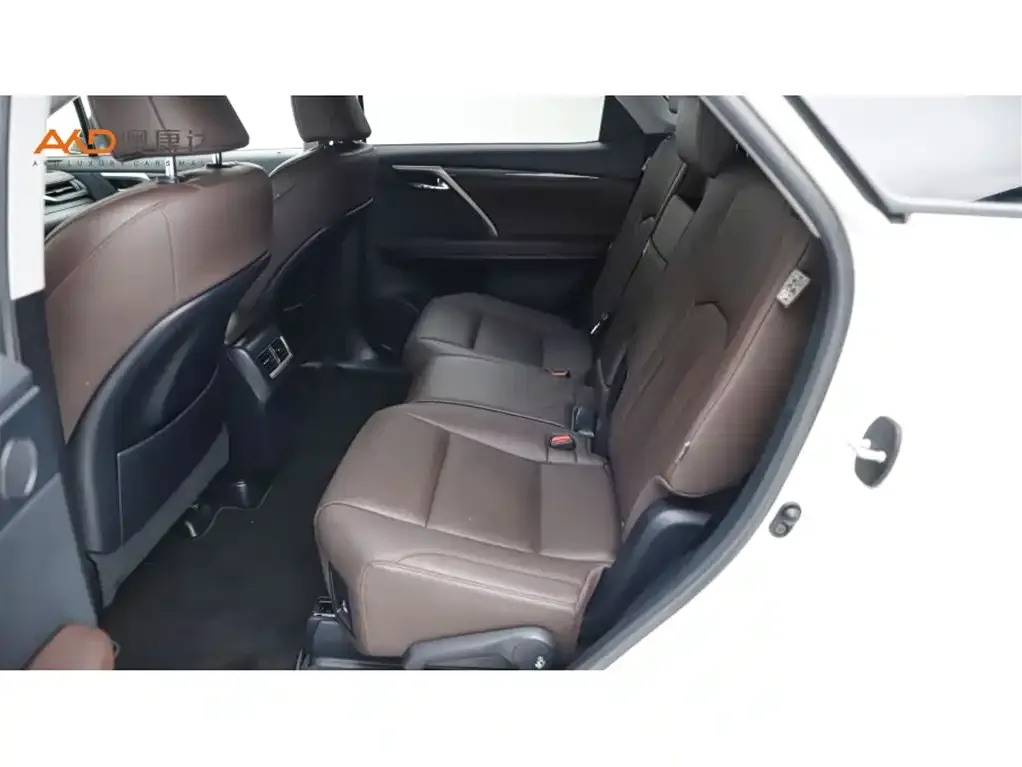 Lexus RX 2021 из CN, фото 5