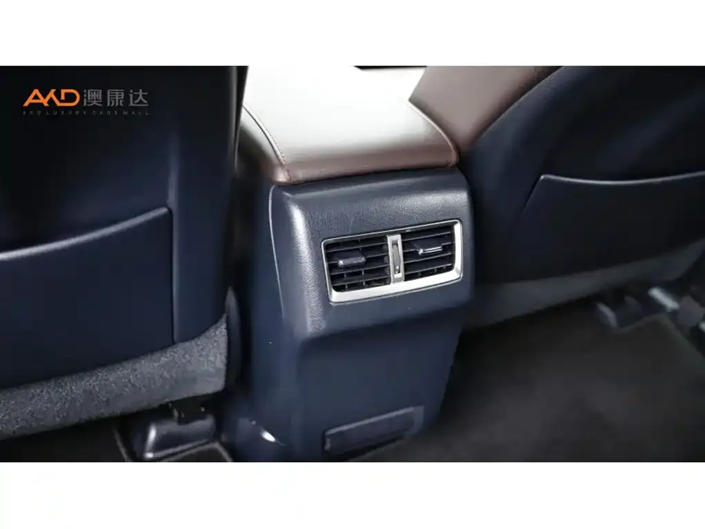 Lexus RX 2021 из CN, фото 8