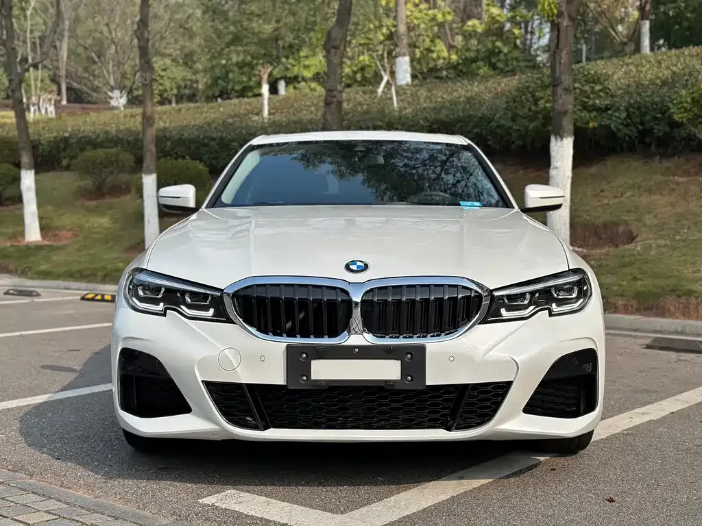 BMW 3 Series 2021 из CN, фото 2