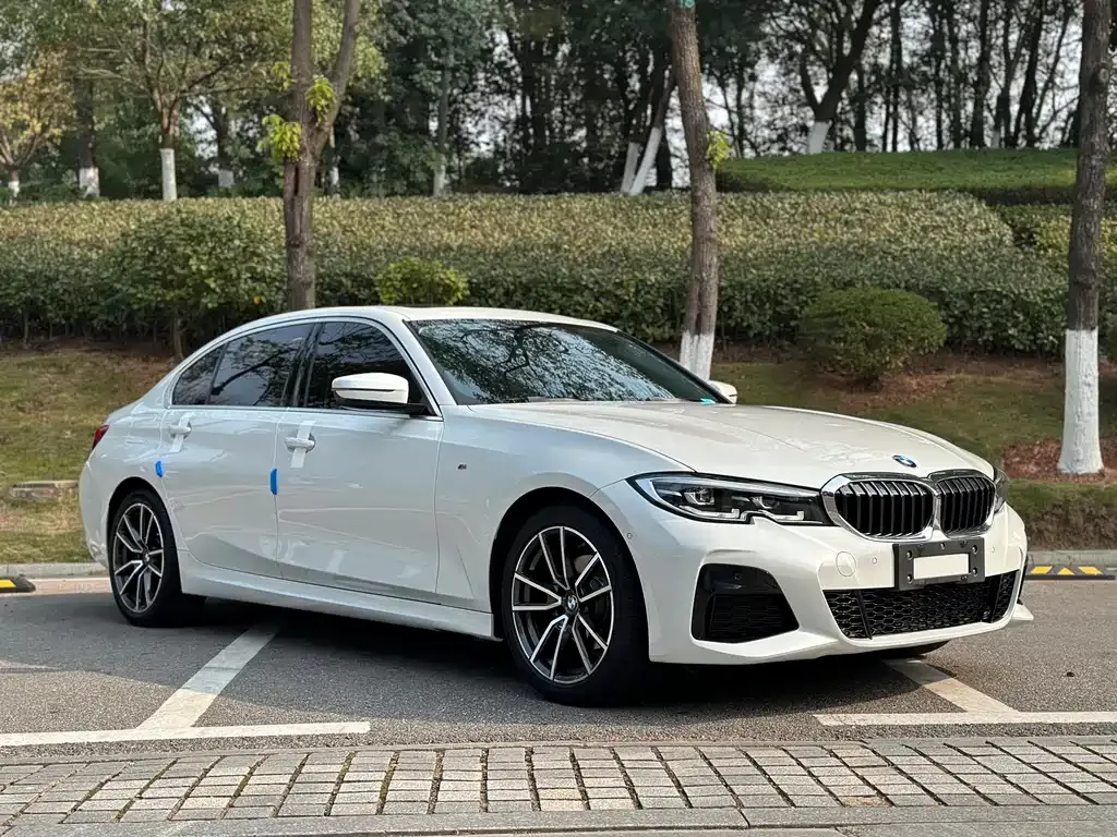 BMW 3 Series 2021 из CN, фото 3