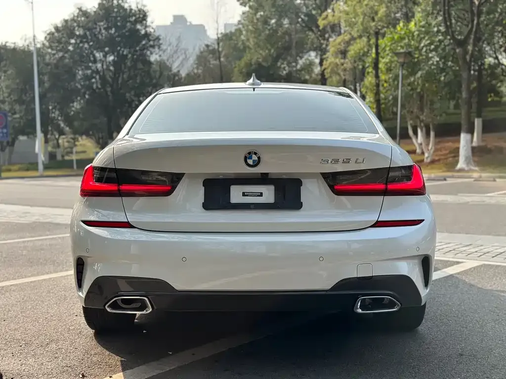 BMW 3 Series 2021 из CN, фото 6