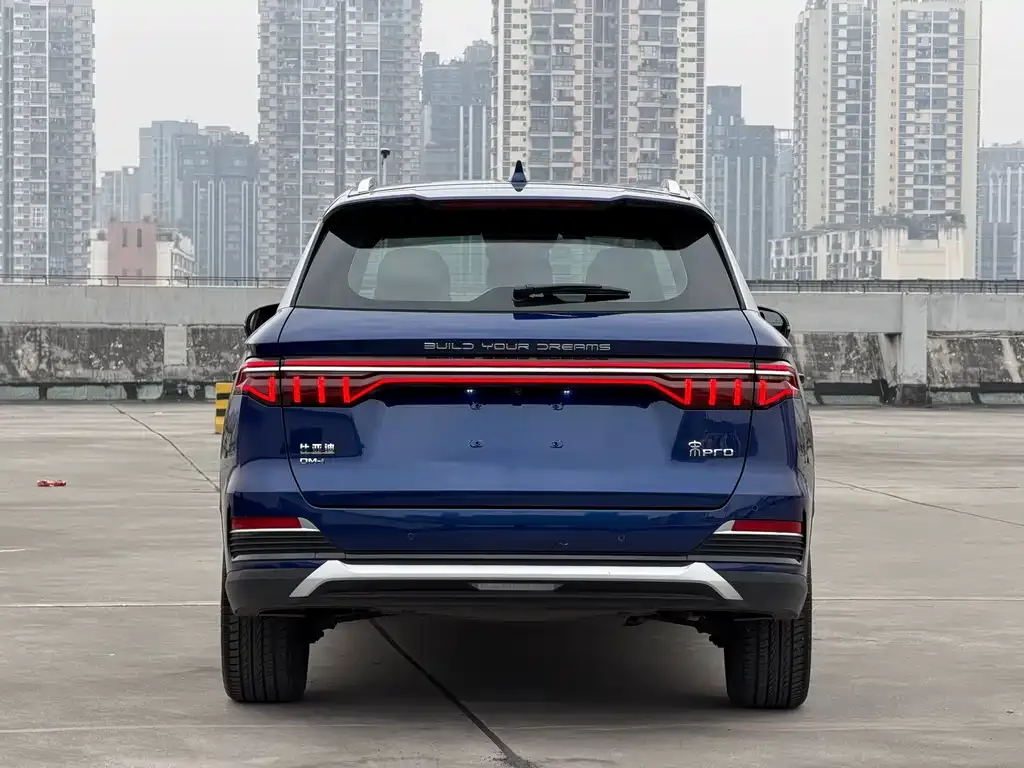 BYD Pro New Energy 2022 из CN, фото 5