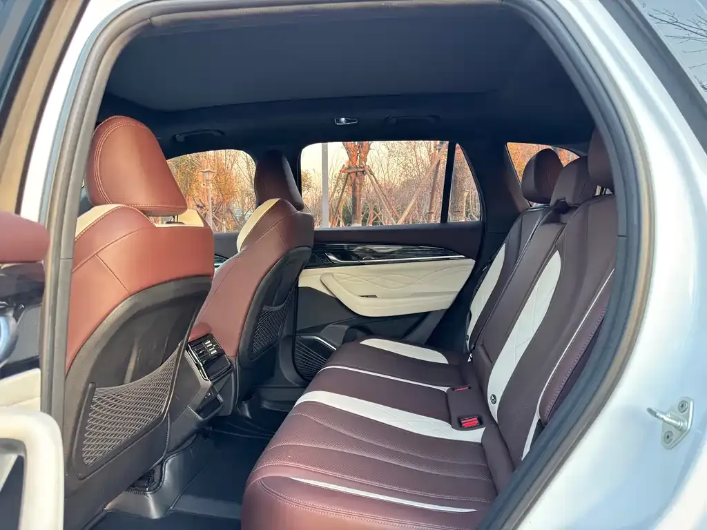 Geely Xingyue L 2023 из CN, фото 6