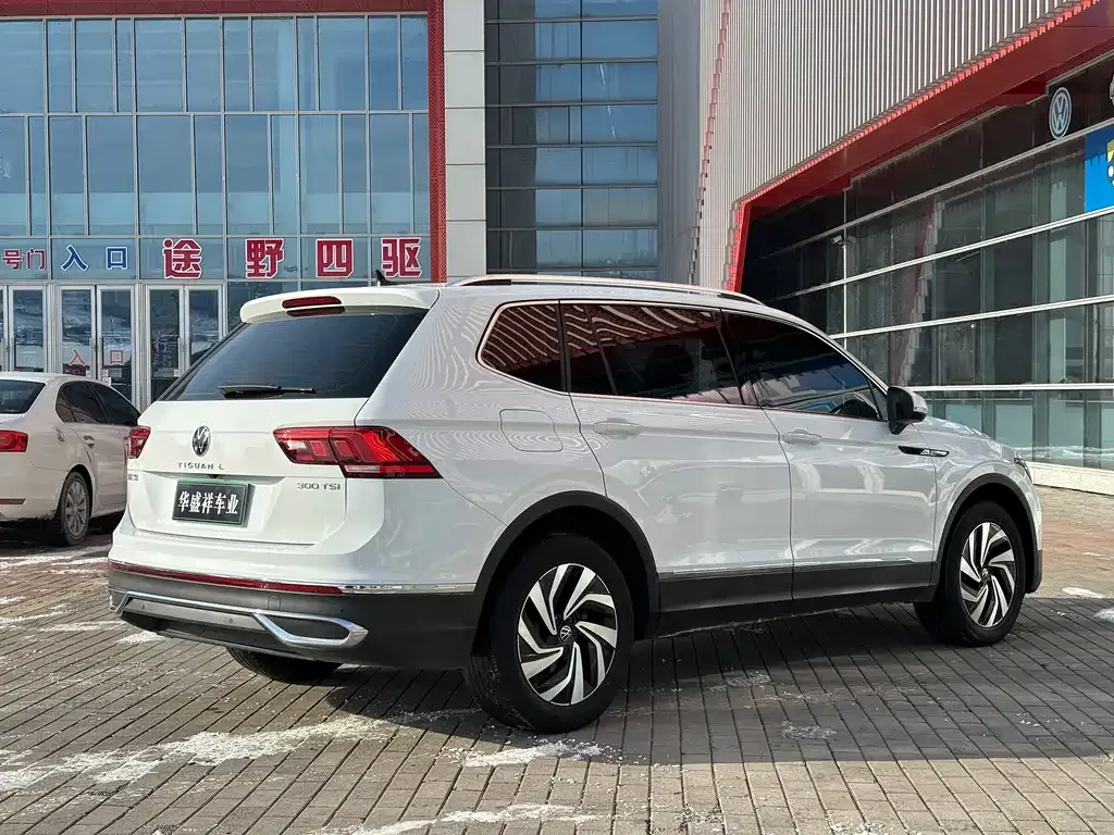 Volkswagen Tiguan L 2023 из CN, фото 5