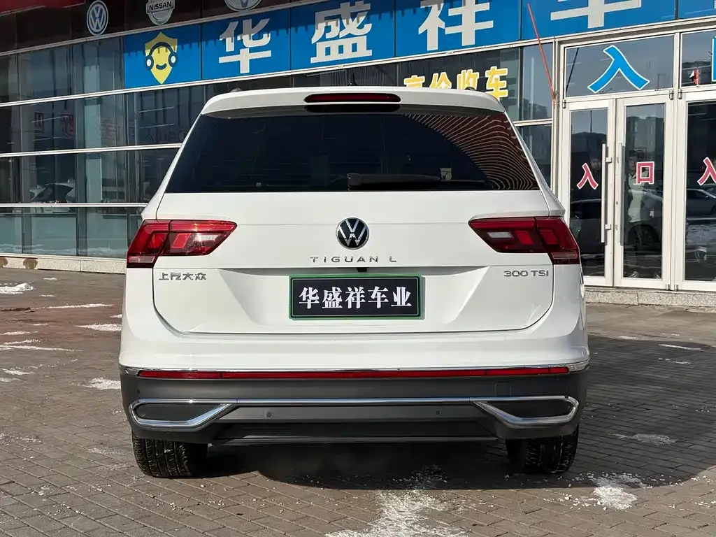 Volkswagen Tiguan L 2023 из CN, фото 6