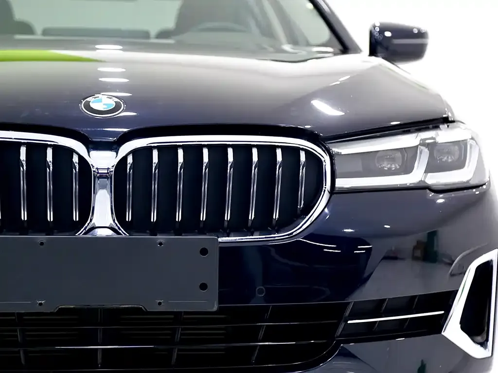 BMW 5 Series 2024 из CN, фото 8