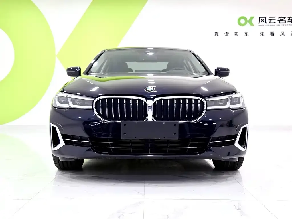 BMW 5 Series 2024 из CN, фото 2
