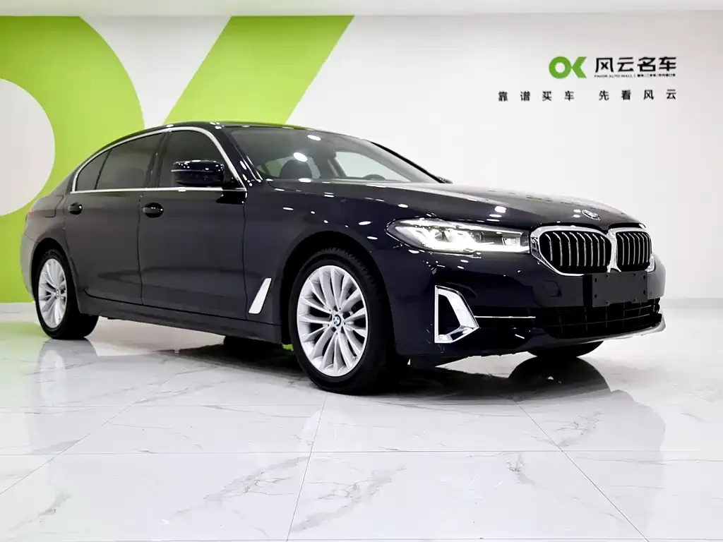 BMW 5 Series 2024 из CN, фото 4
