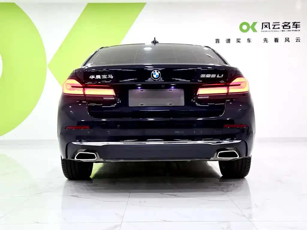 BMW 5 Series 2024 из CN, фото 10