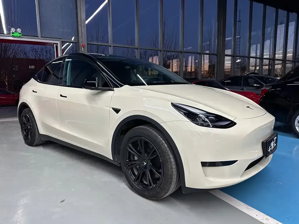 Tesla Model Y 2023 из CN, фото 5