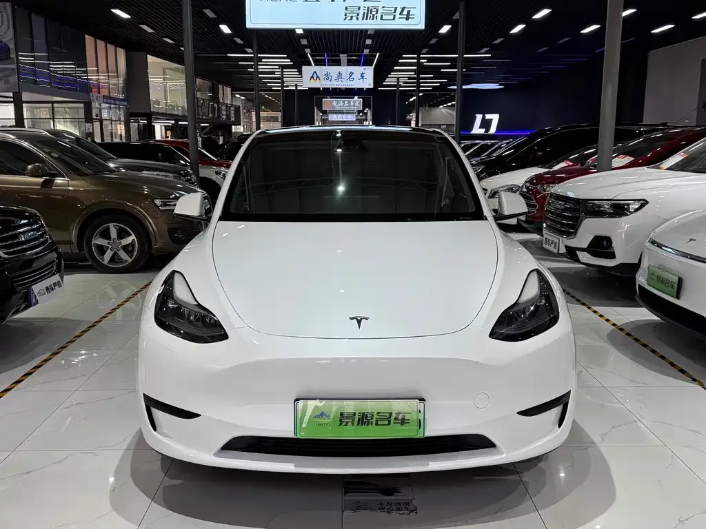 Tesla Model Y — фото 10