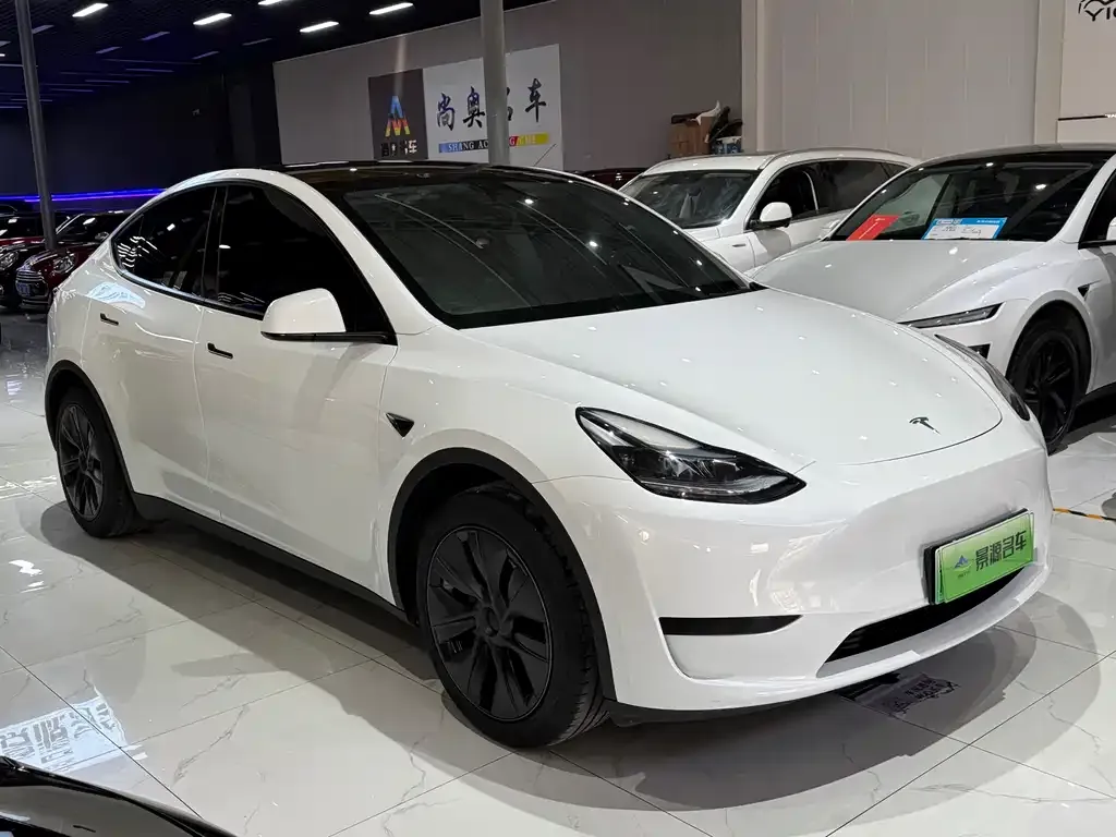 Tesla Model Y — фото 2