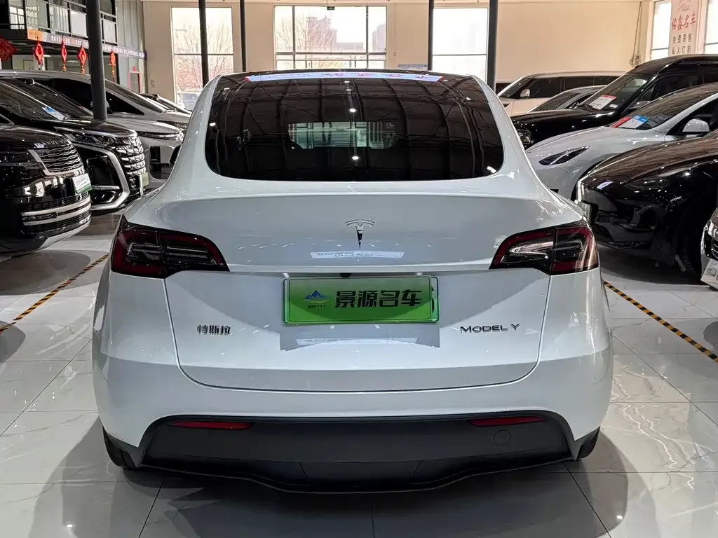 Tesla Model Y — фото 8