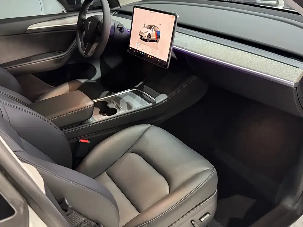 Tesla Model Y — фото 9