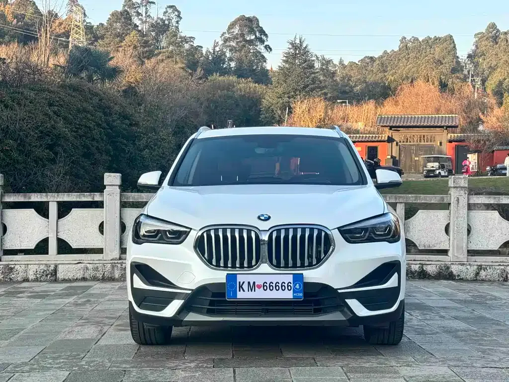 BMW X1 2021 из CN, фото 10