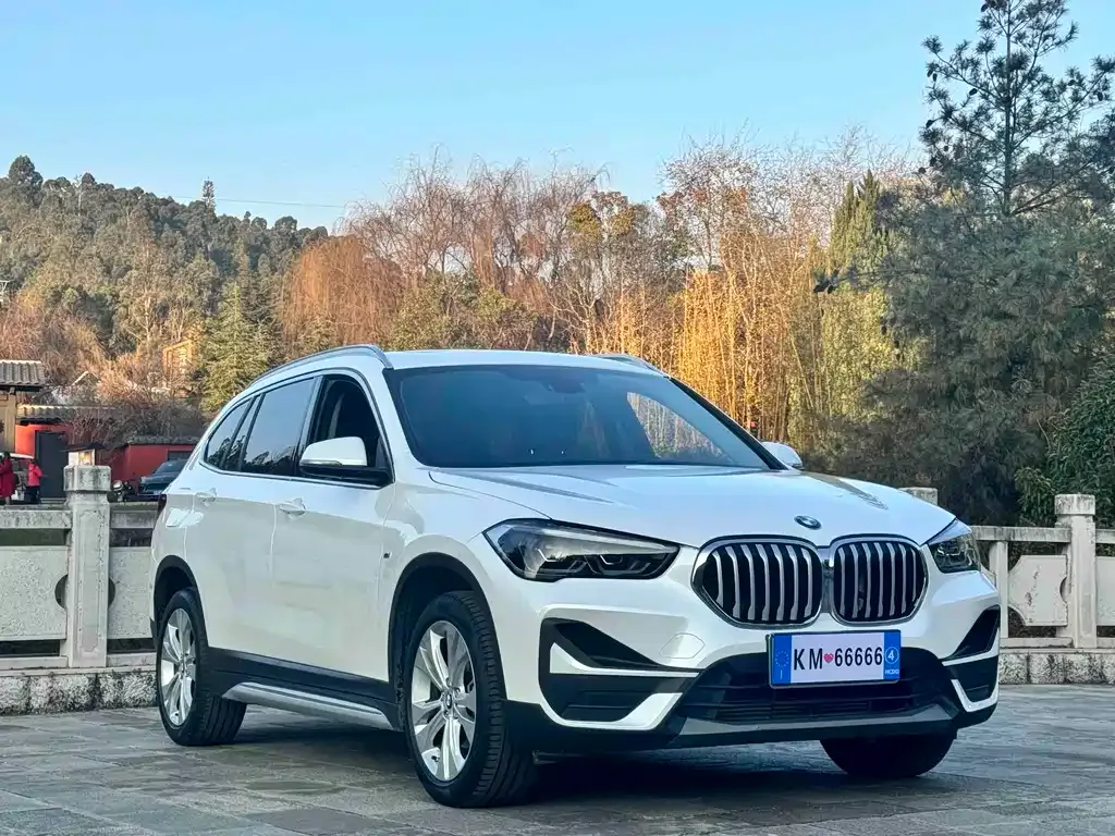 BMW X1 2021 из CN, фото 9