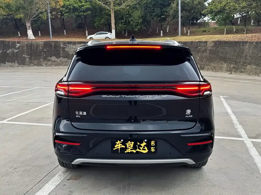 BYD Tang New Energy 2022 из CN, фото 8