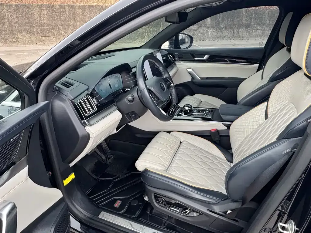 BYD Tang New Energy 2022 из CN, фото 10