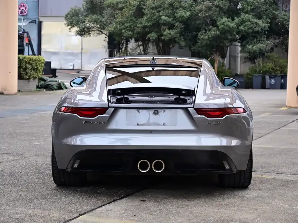Jaguar F-TYPE 2021 из CN, фото 9