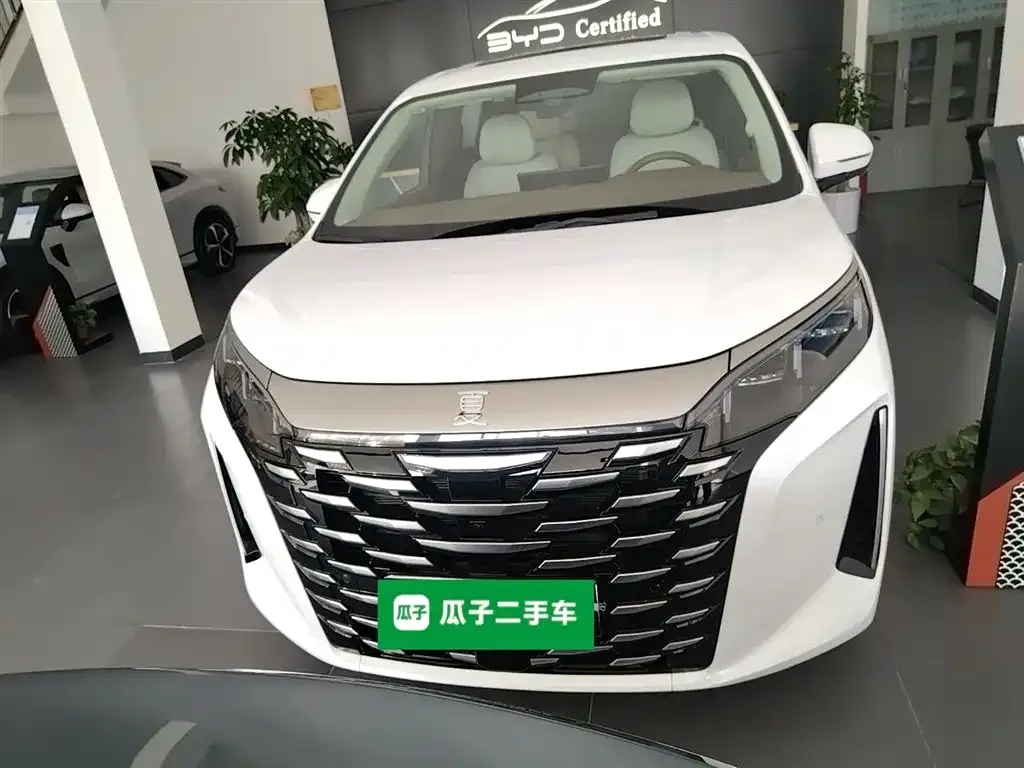 BYD Xia 2025 из CN, фото 7