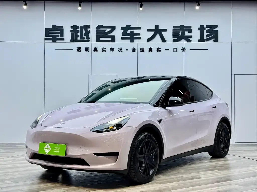 Tesla Model Y 2023 из CN, фото 6