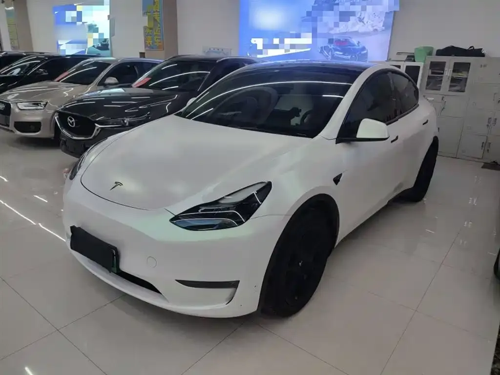 Tesla Model Y 2021 из CN, фото 1