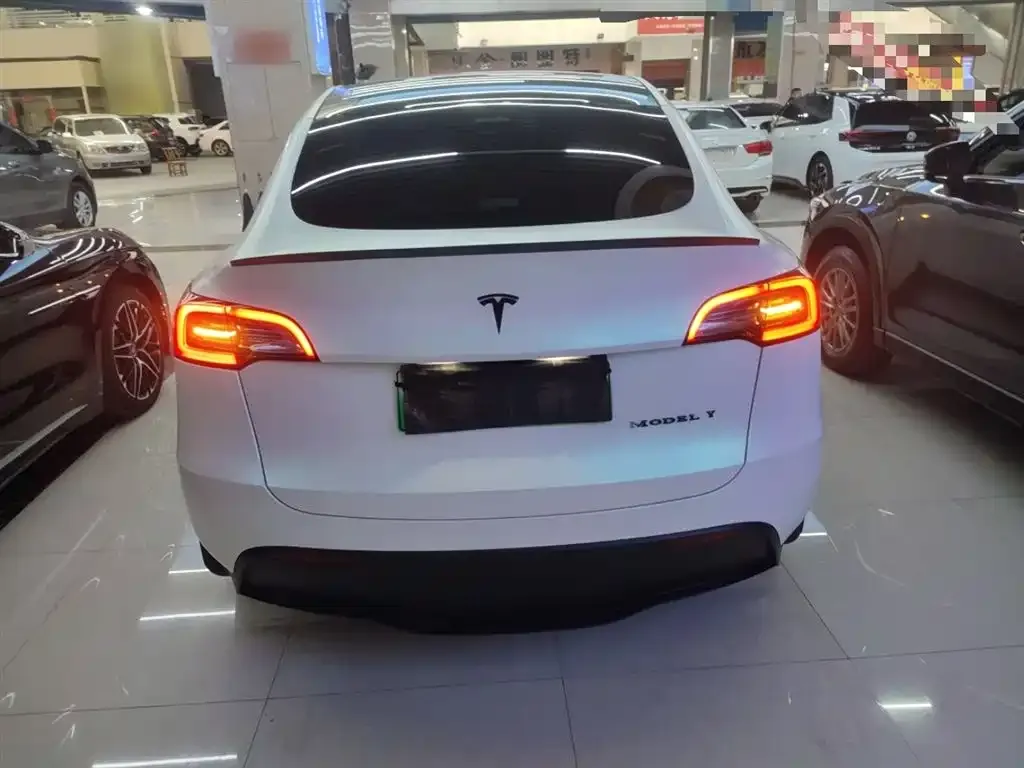 Tesla Model Y 2021 из CN, фото 2
