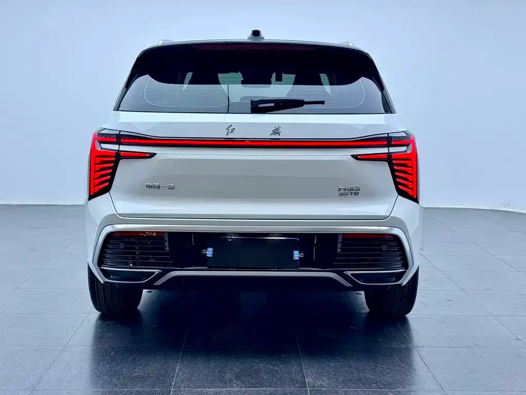 Hongqi HS3 2023 из CN, фото 8