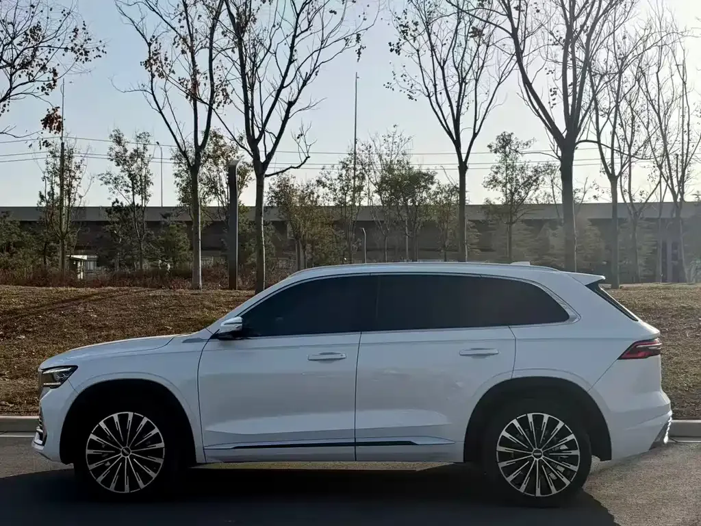 Geely Xingyue L 2025 из CN, фото 5