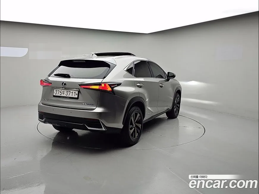 Lexus NX 2021 из KR, фото 4