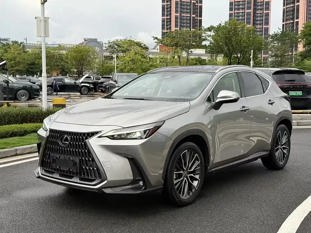 Lexus NX 2021 из CN, фото 1