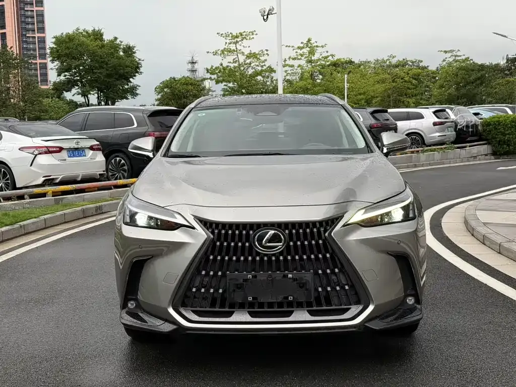 Lexus NX 2021 из CN, фото 8