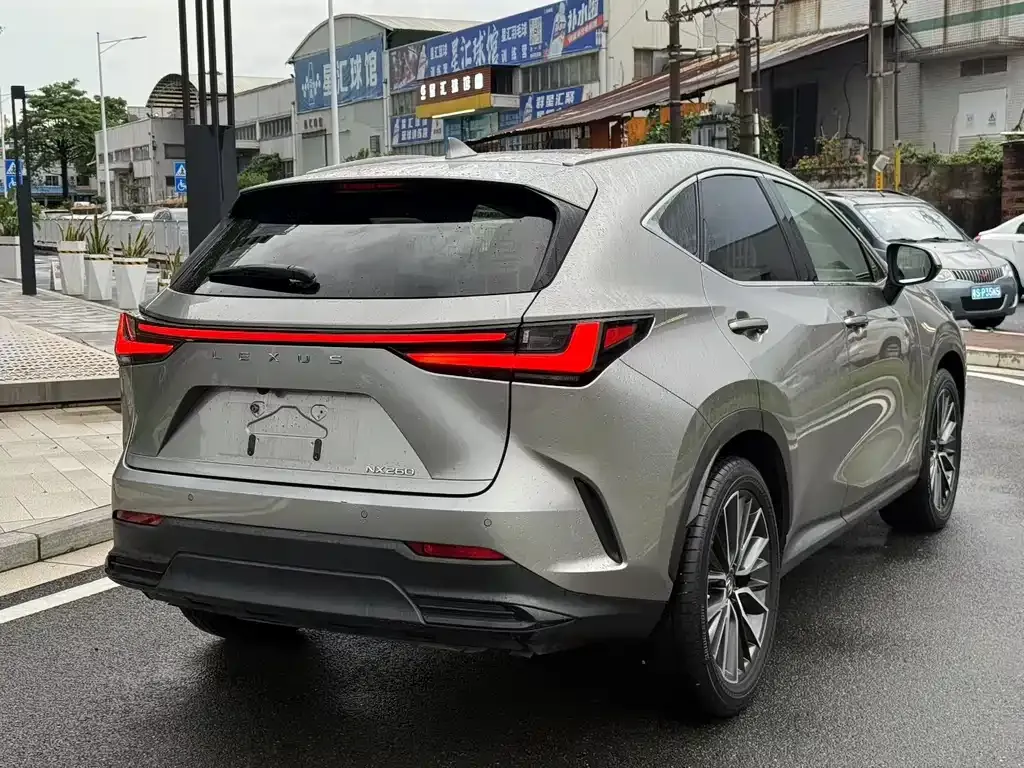 Lexus NX 2021 из CN, фото 6