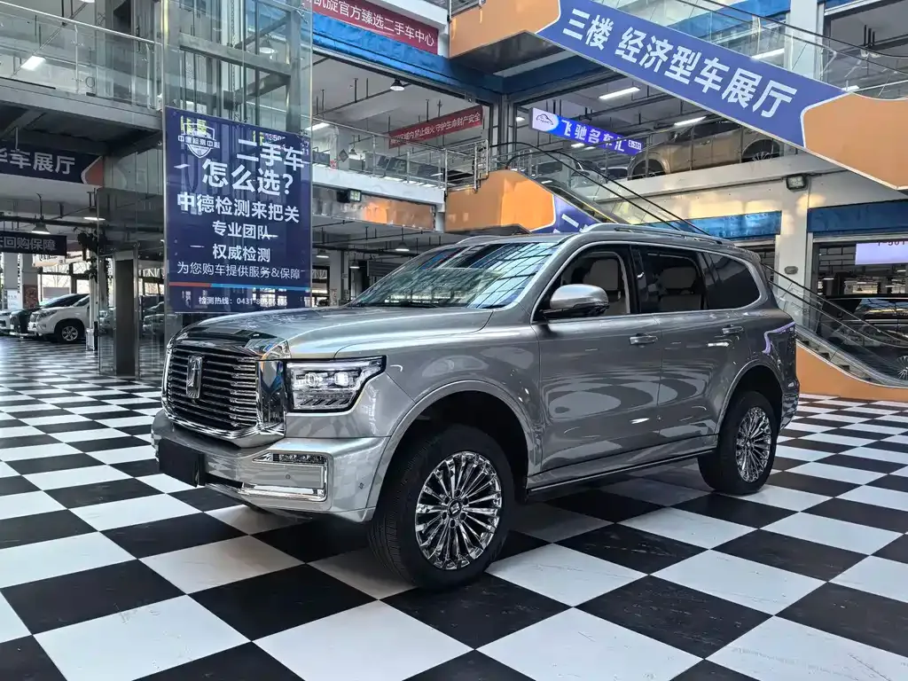 Tank 500 New Energy 2024 из CN, фото 1