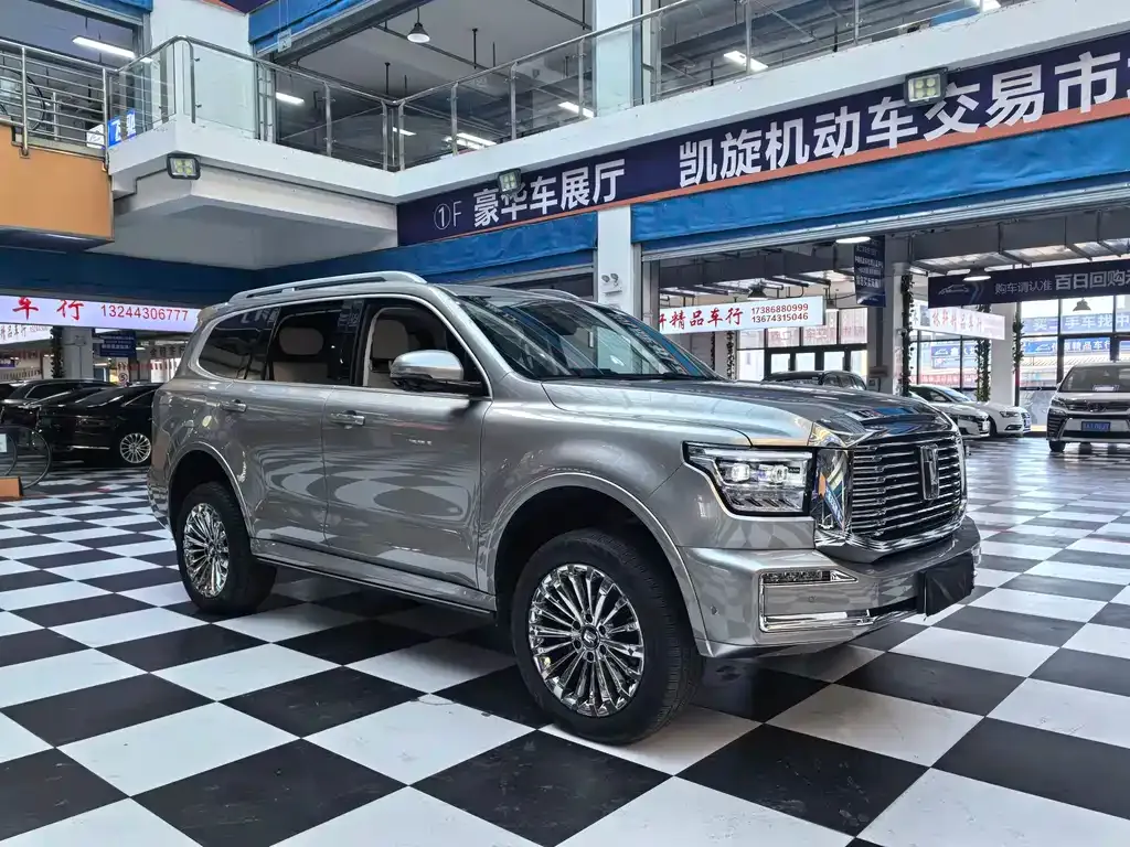 Tank 500 New Energy 2024 из CN, фото 4