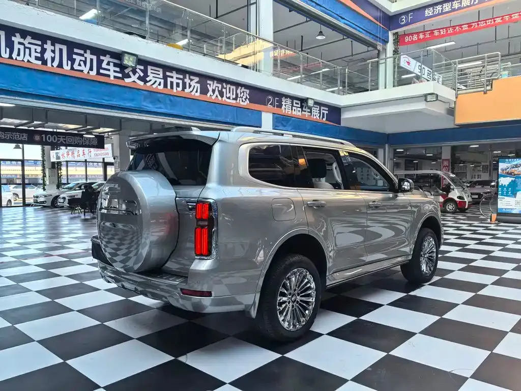 Tank 500 New Energy 2024 из CN, фото 9