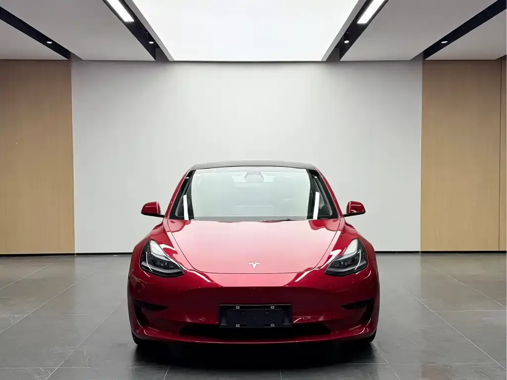 Tesla Model 3 2023 из CN, фото 2
