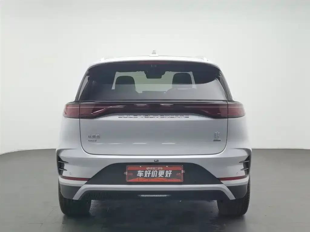 BYD Tang New Energy 2025 из CN, фото 6
